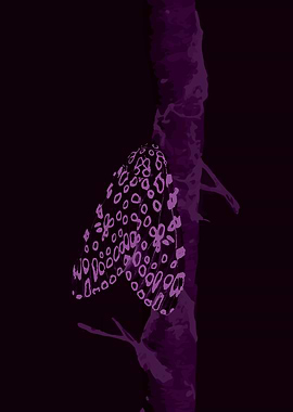 Purple Moth