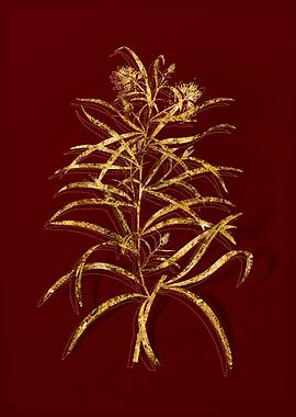 Gold Botanical on Red