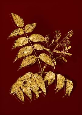 Gold Botanical on Red