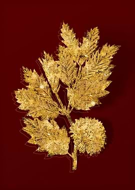 Gold Botanical on Red