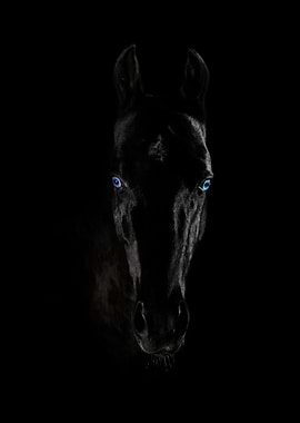 Horse portrait poster