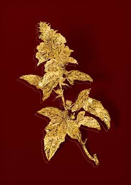 Gold Botanical on Red