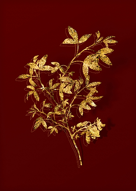 Gold Botanical on Red