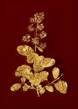 Gold Flora on Red