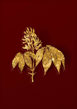 Gold Botanical on Red