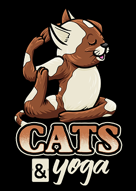 Cats and Yoga