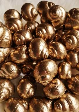 Golden snails