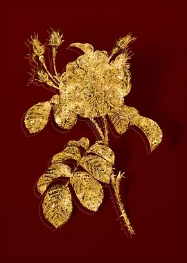 Gold Botanical on Red