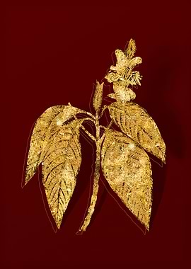 Gold Botanical on Red