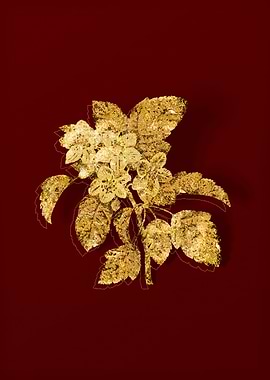 Gold Botanical on Red