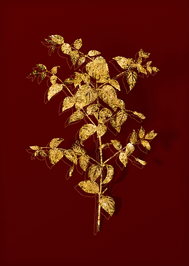 Gold Botanical on Red