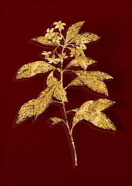 Gold Botanical on Red
