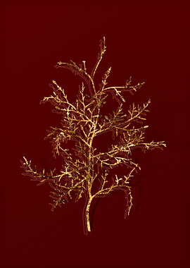 Gold Botanical on Red