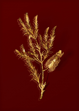 Gold Botanical on Red