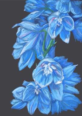 Flowers of Reflection