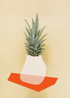 Pineapple composition VIII