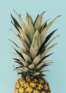 Photo Pineapple I