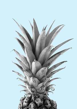 Photo Pineapple II