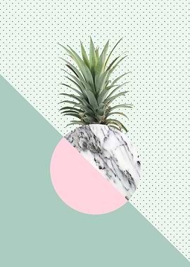 Pineapple composition I