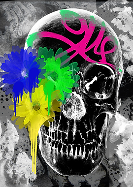 Abstract Skull Art