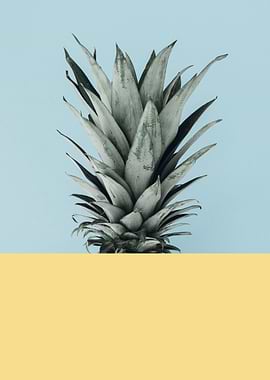 Pineapple composition VI