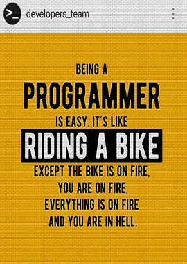 Programmer Facts