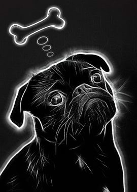 Daydreaming Pug