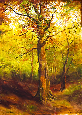 Tree in autumn