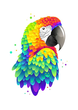 Modern colorful parrot