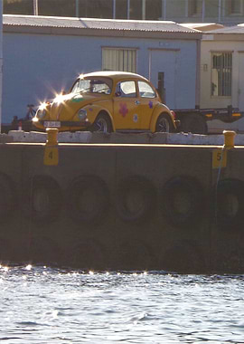 Beetle in the Distance