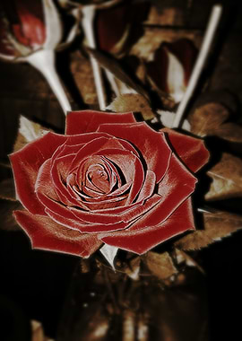 Will You be My Valetine