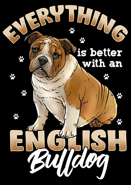 English Bulldog