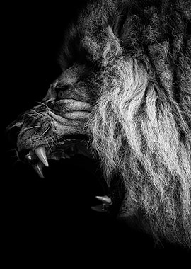 Angry lion head poster