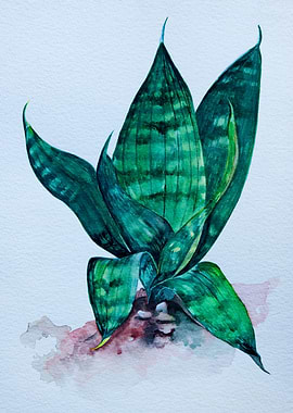 Plants My Natural Souvenir