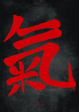 Spirit Aikido