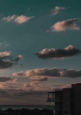 Agriculture VS Humans