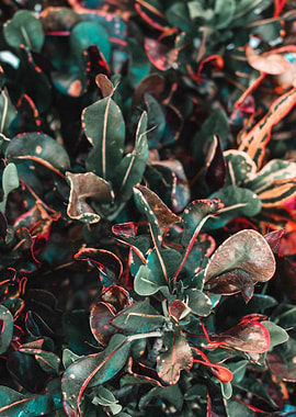 Nature Is All Around Us