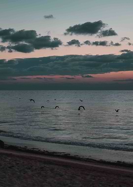 Early Bird Gets The Worm