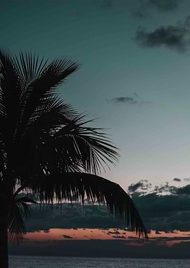 Island Vacation Sunrise