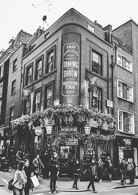 The Garden Of The Covent