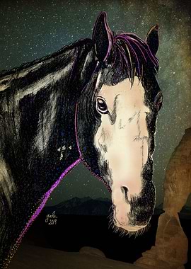 Horse at Arches National