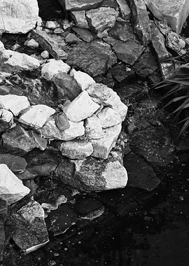 The Beauty That Is Hidden