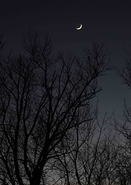 The Overlooked and Missed