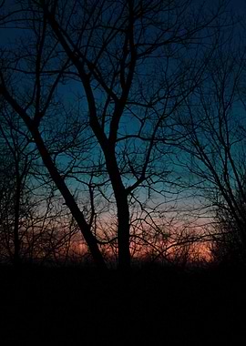 Peaceful and Dream Scenes