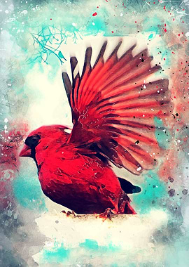 Red bird