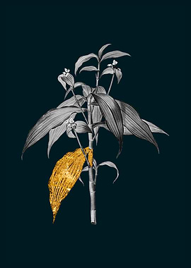 Teal and Gold Commelina