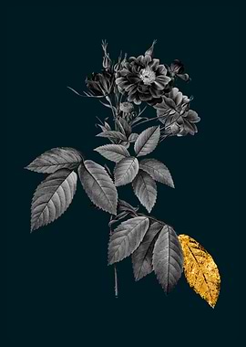 Teal Gold Boursault Rose