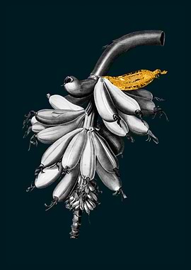 Teal and Gold Bananas