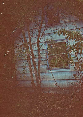 Overgrown Not Forgotten