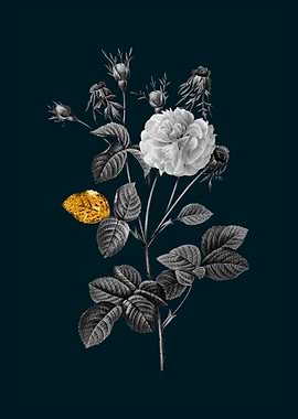 Teal and Gold Agatha Rose